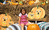 Click on me for FULL SIZE!  Please be patient!