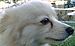 Click on me for FULL SIZE! - 550kb  Please be patient!