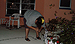 Click on me for FULL SIZE!  Please be patient!