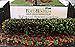 Click on me for FULL SIZE! - 661kb  Please be patient!