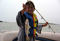 CLICK ON THE PICS for full size ones.