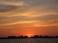 CLICK ON THE PICS for full size ones.