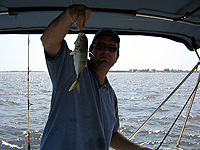 CLICK ON THE PICS for full size ones.